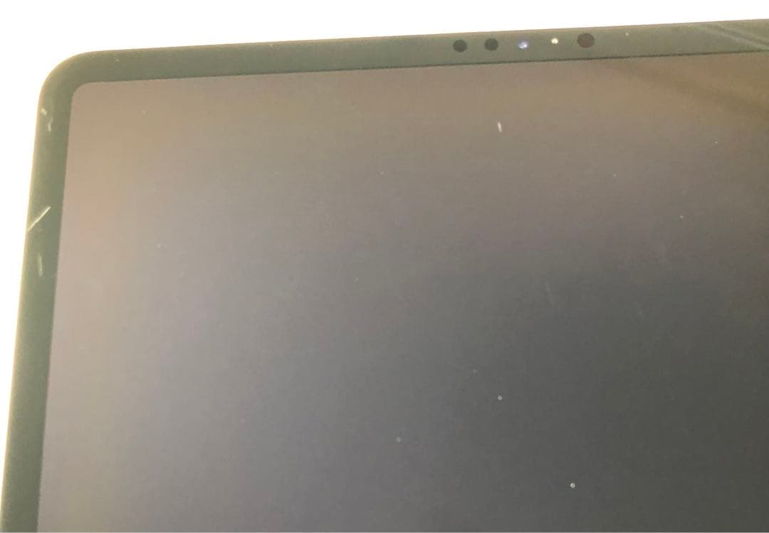 【完動品】iPad Pro 12.9 第3世代 256GB 【すぐ発送】