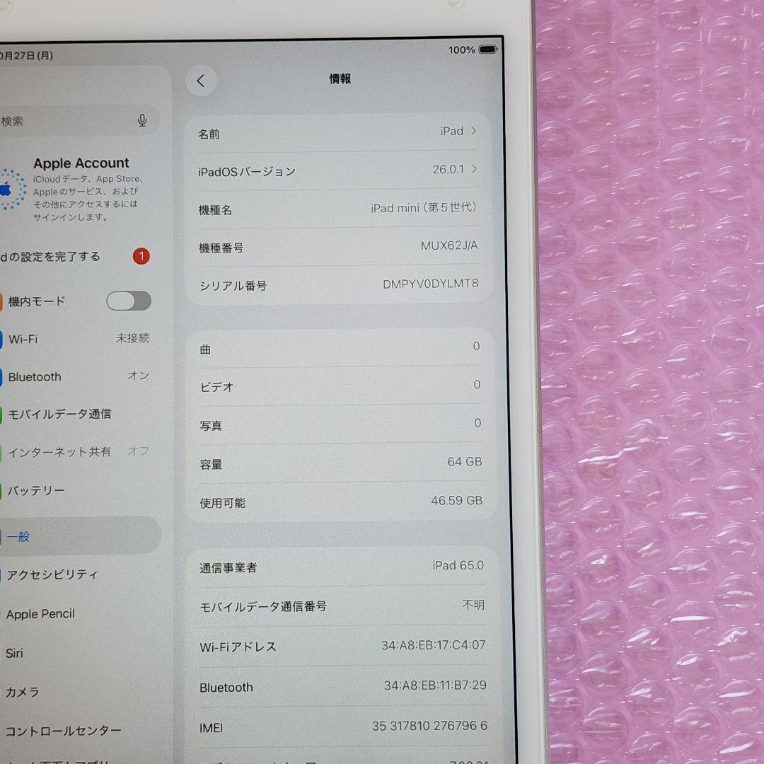 iPad mini 第5世代　本体カバーおまけ　Wi-Fi+Cellular