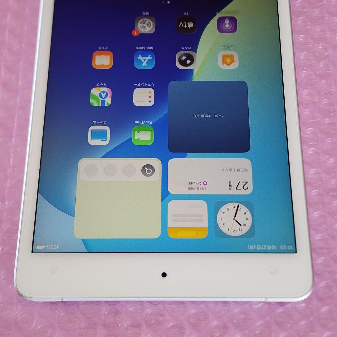 iPad mini 第5世代　本体カバーおまけ　Wi-Fi+Cellular