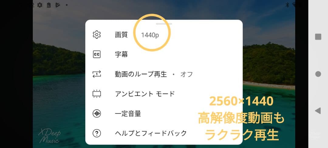 シムフリー Blackview N6000 16GB※ 256GB OS13