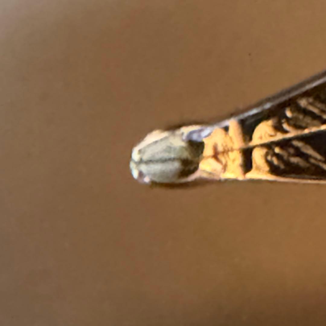 【訳あり】WATERMAN万年筆 18K エキスパート エッセンシャル ブラック