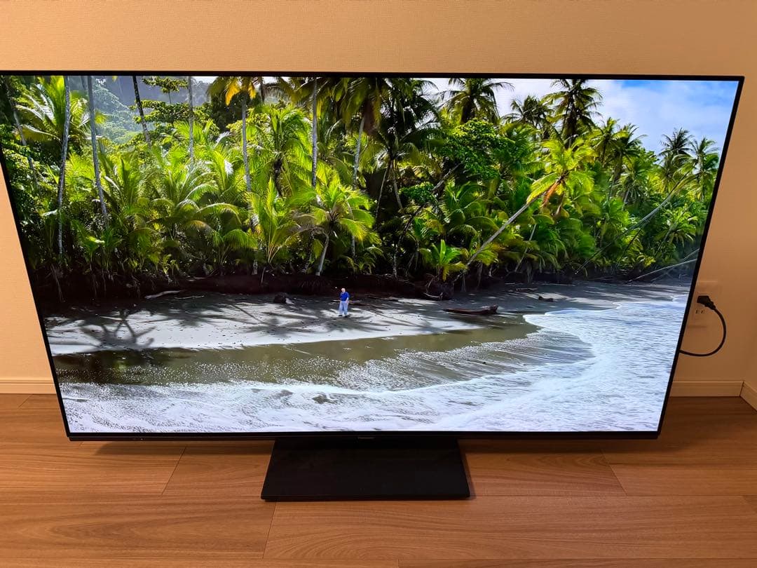 2023年製55インチ パナソニック4K有機ELテレビ VIERA保証書付