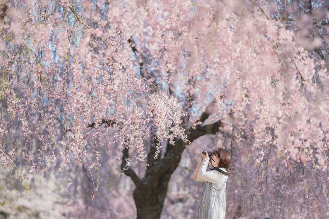 Sony α7RV SIGMA35mm 135mm バッテリーグリップ