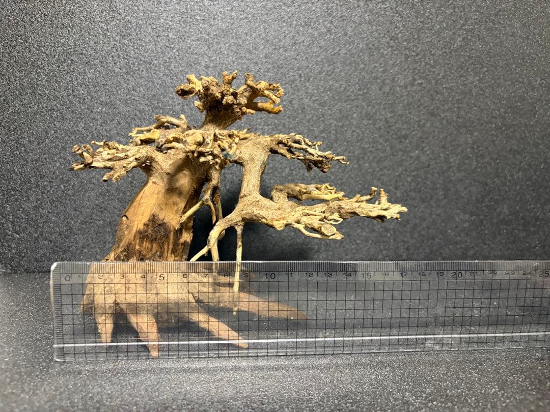 盆栽流木　S