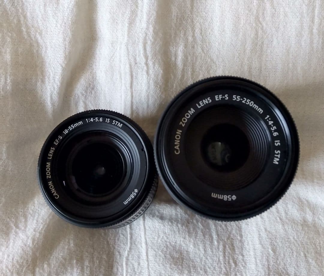 Canon EOS Kiss X10 本体 ダブルズーム SDカード&バッグ付き