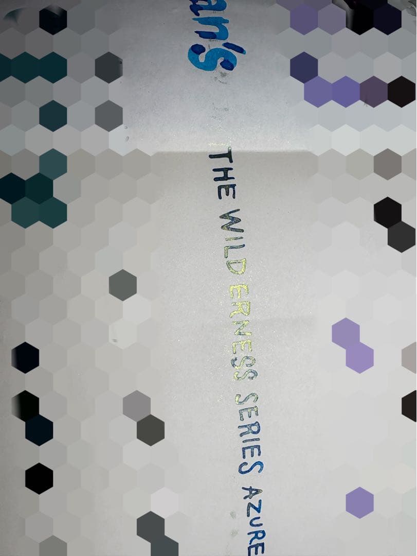筆記具 Van Dieman's Ink