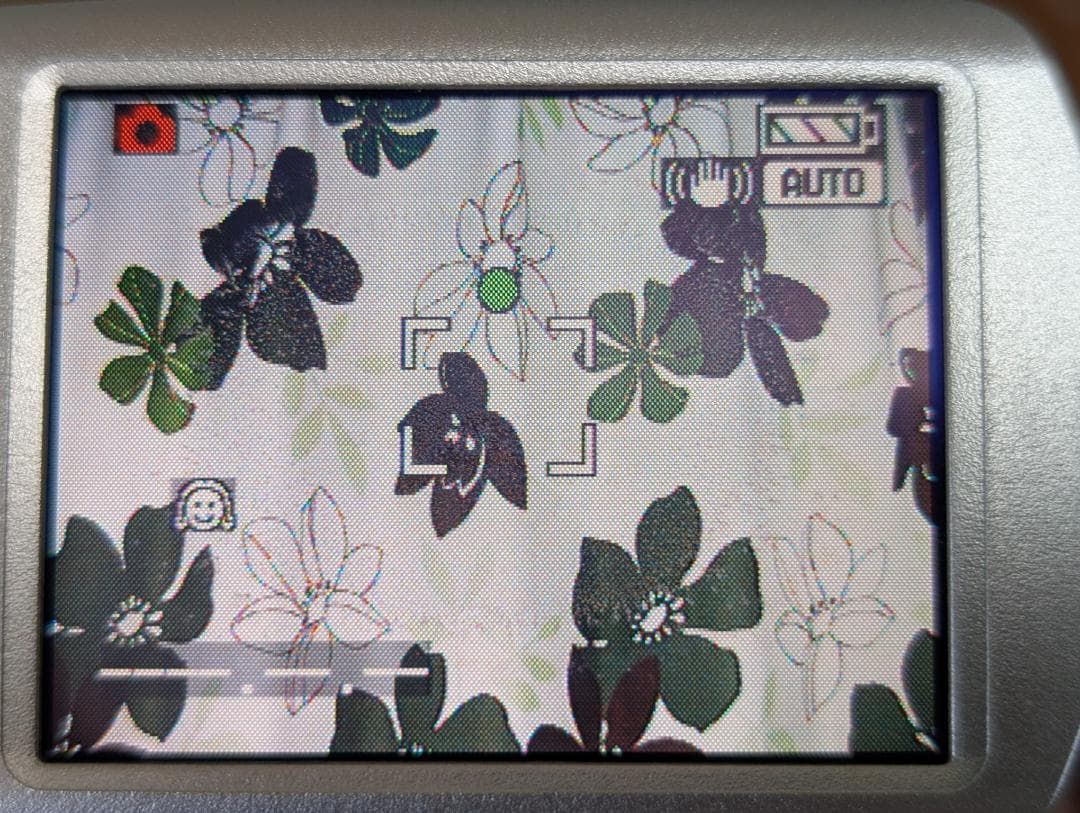 Panasonic NV-GS250 MiniDV ビデオカメラ