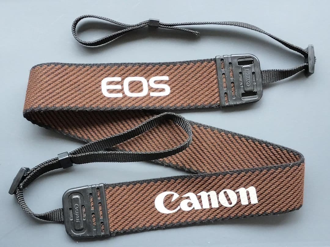 Canon EOS 55 ボディ 電池付【美品・動作確認済み】