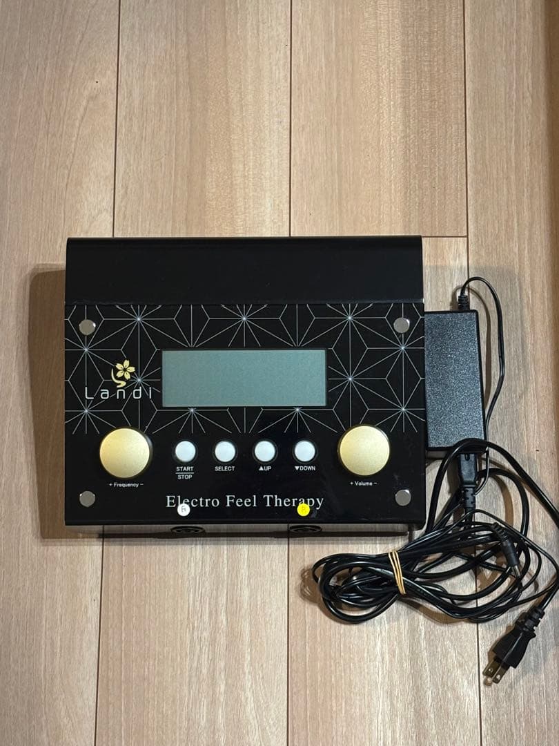 Electro Feel Therapy 美顔器【正規品】