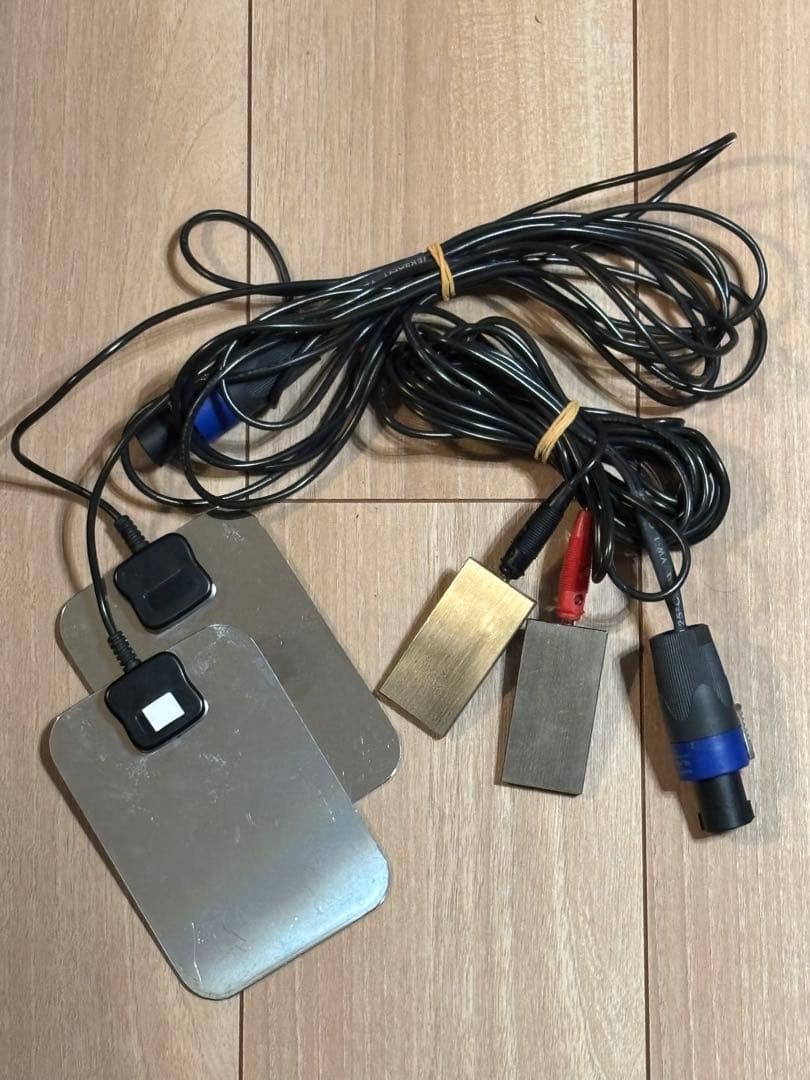 Electro Feel Therapy 美顔器【正規品】