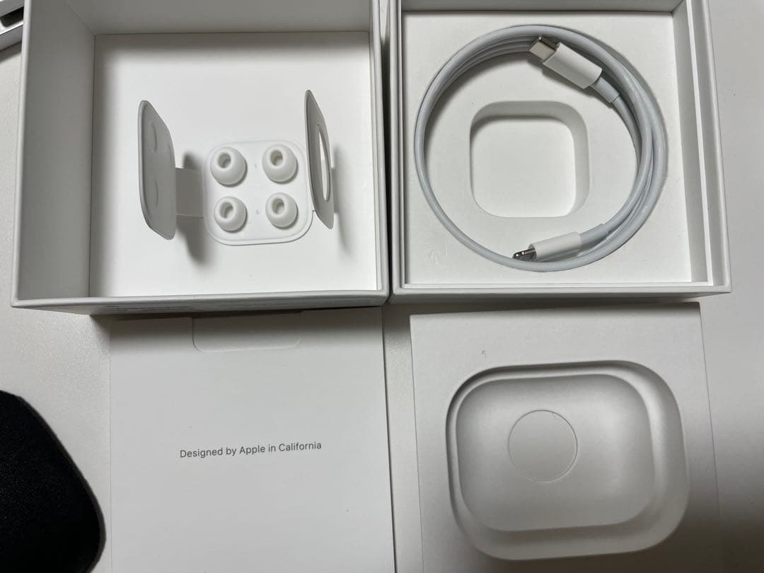 Apple AirPods Pro 第1世代 A2083 リコリスリコイルケース