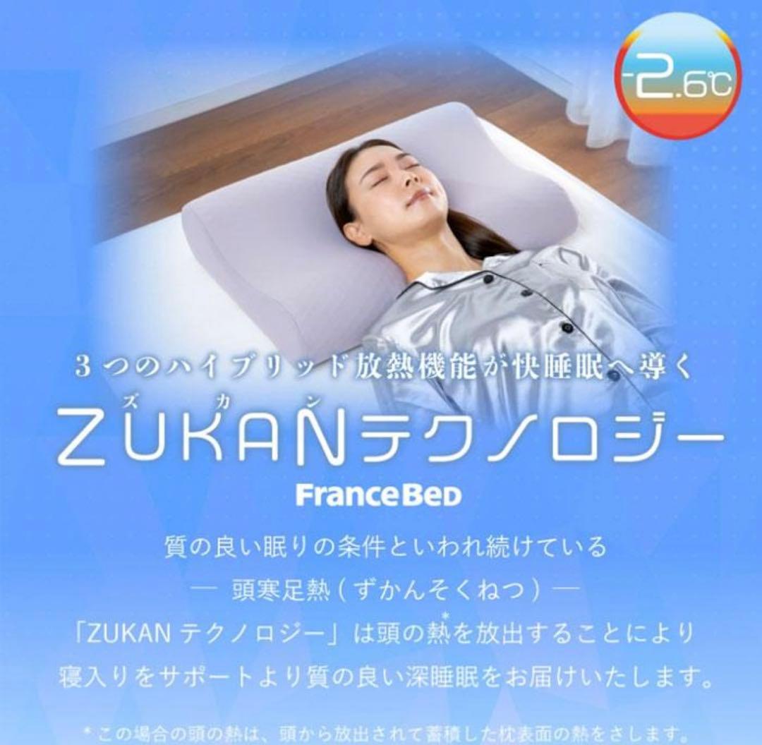 FranceBed ZUKANテクノロジー 保冷枕　ズカンピロー　フランスベッド