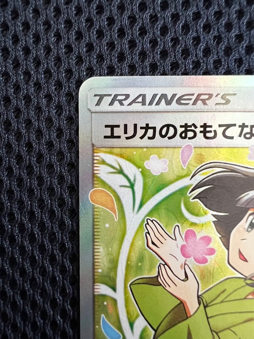 エリカのおもてなし SR