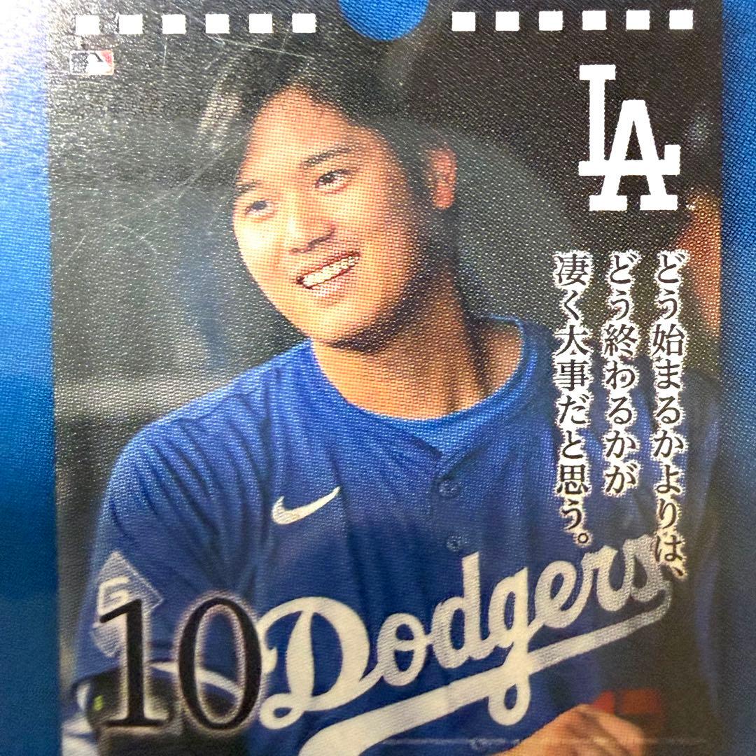 【極・5個セット】大谷翔平の哲学を習慣に。31日万年日めくりカレンダー｜