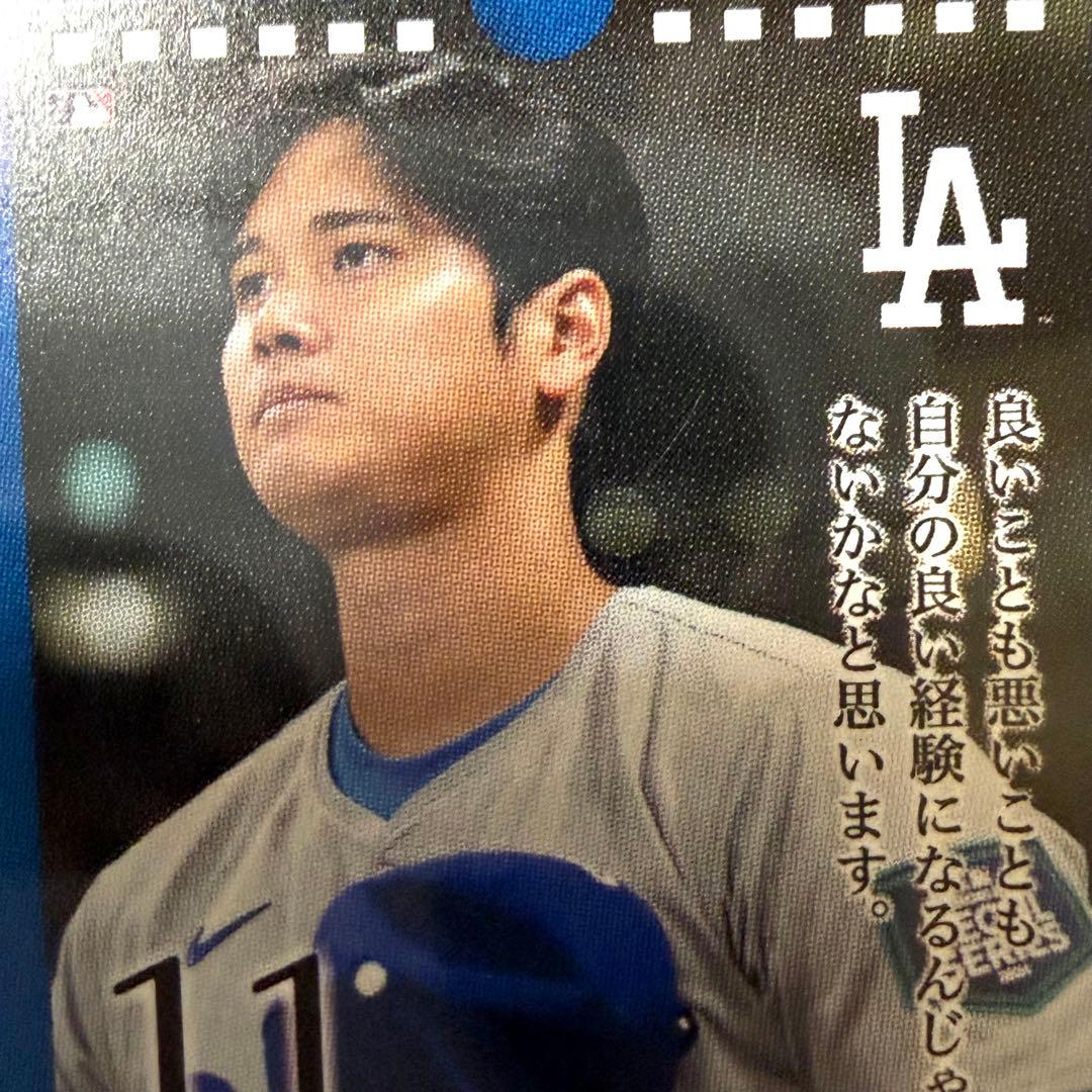 【極・5個セット】大谷翔平の哲学を習慣に。31日万年日めくりカレンダー｜