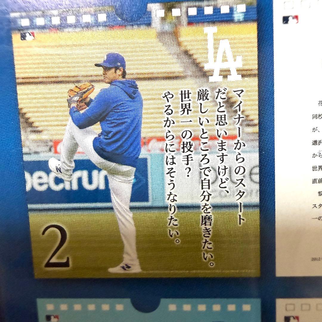 【極・5個セット】大谷翔平の哲学を習慣に。31日万年日めくりカレンダー｜