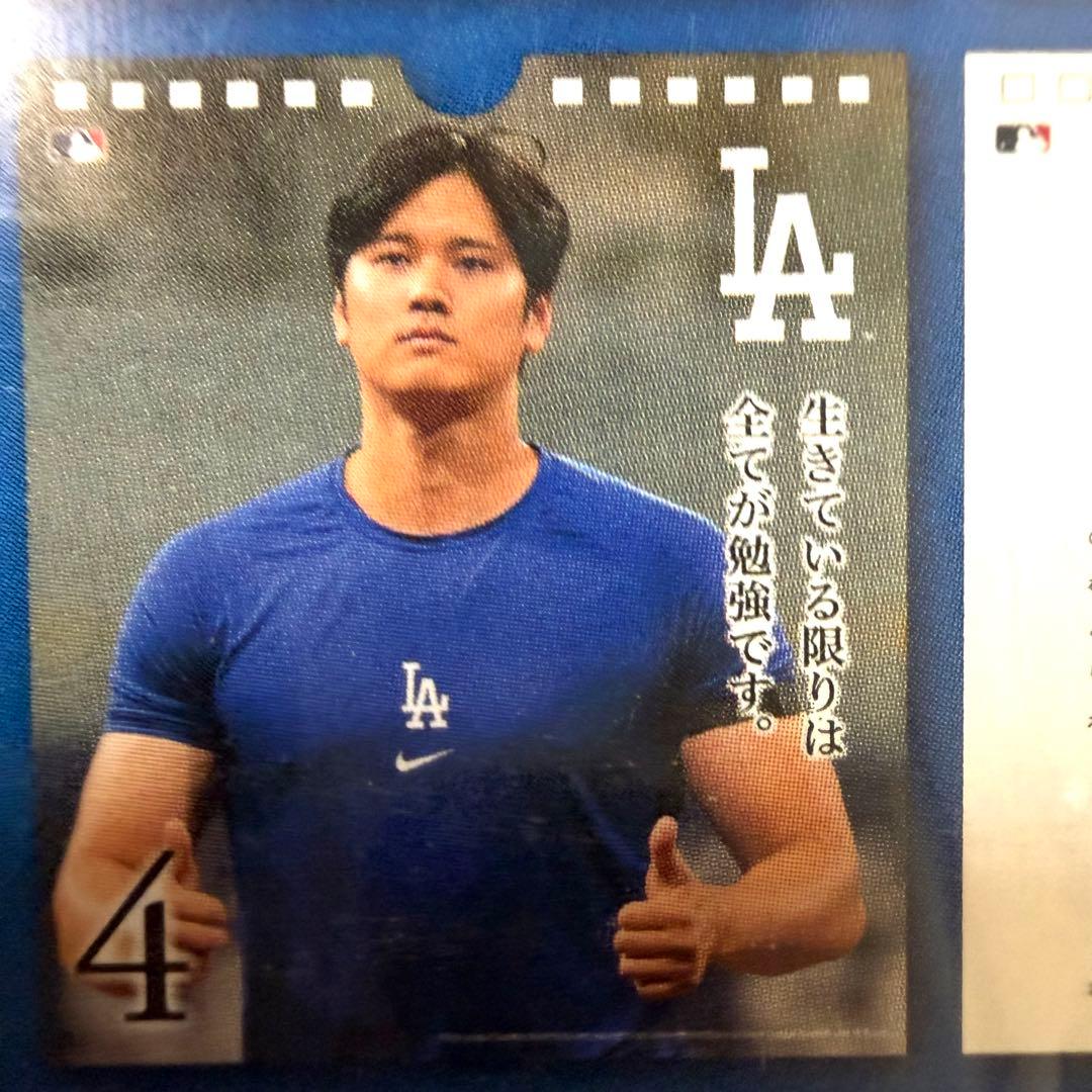 【極・5個セット】大谷翔平の哲学を習慣に。31日万年日めくりカレンダー｜