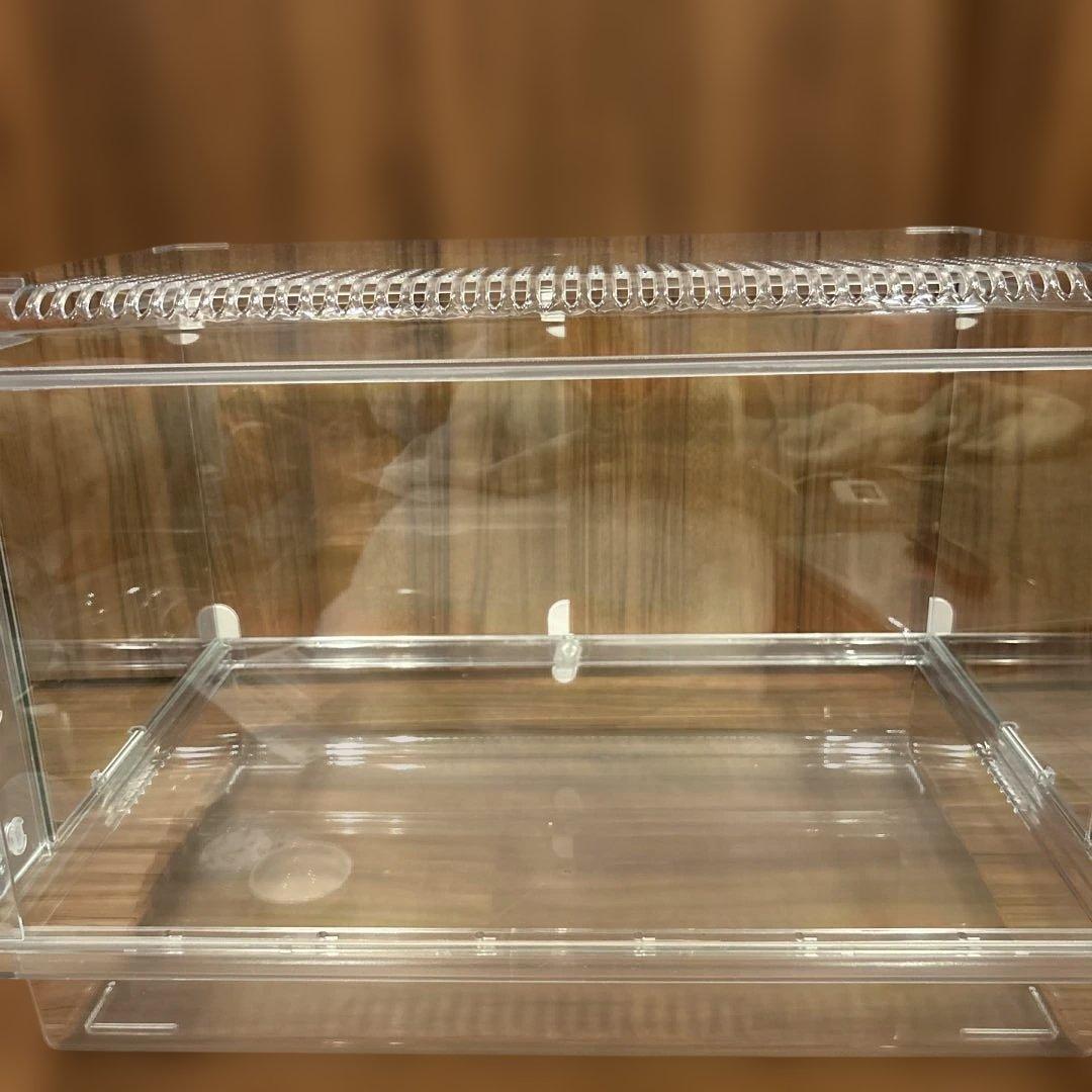 グラスハーモニー600high ジェックス　ハムスター飼育セット