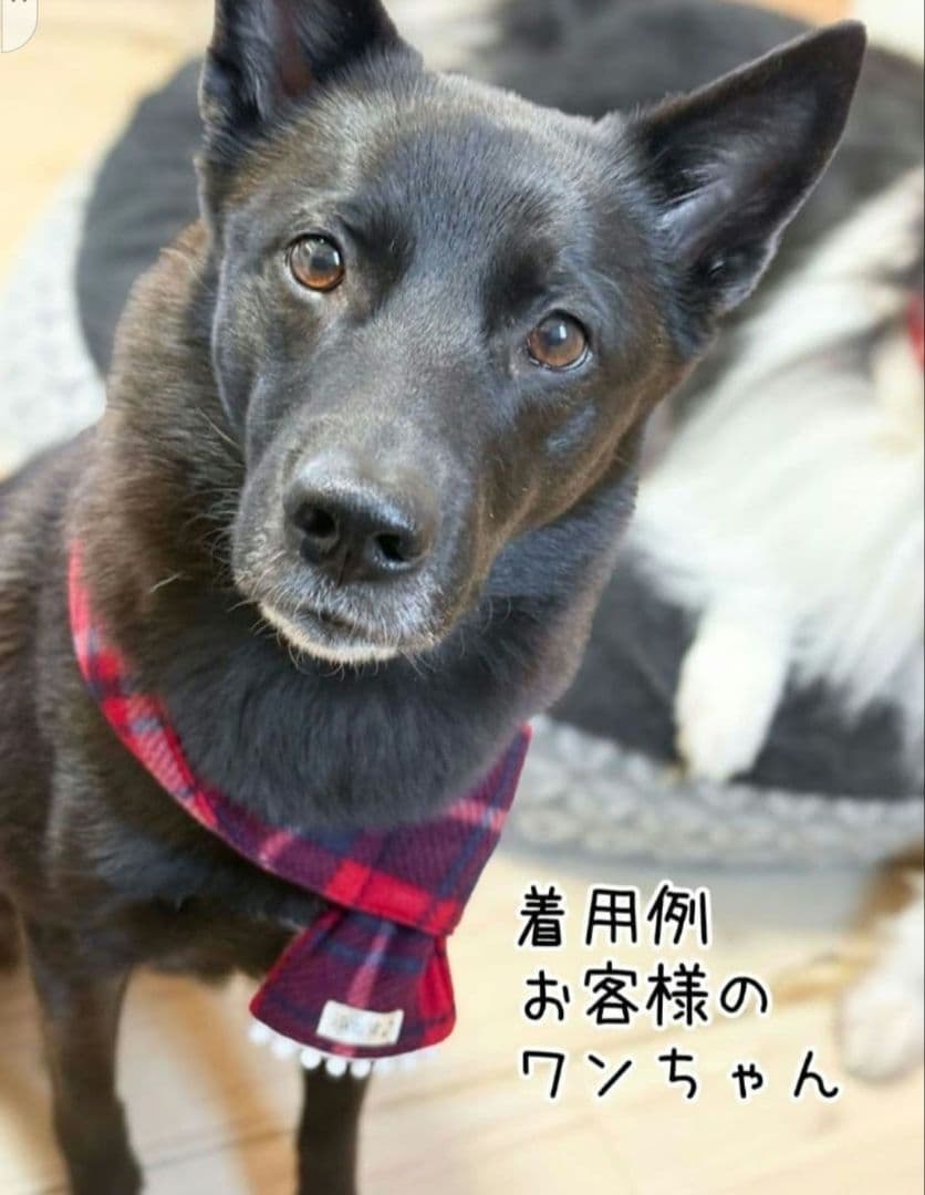 マフラー 犬用 SALE