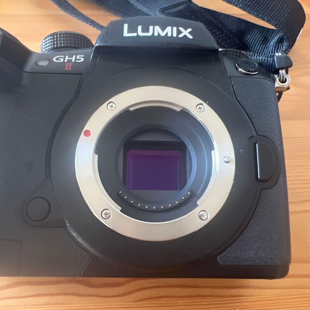 LUMIX GH5 2 レンズセット