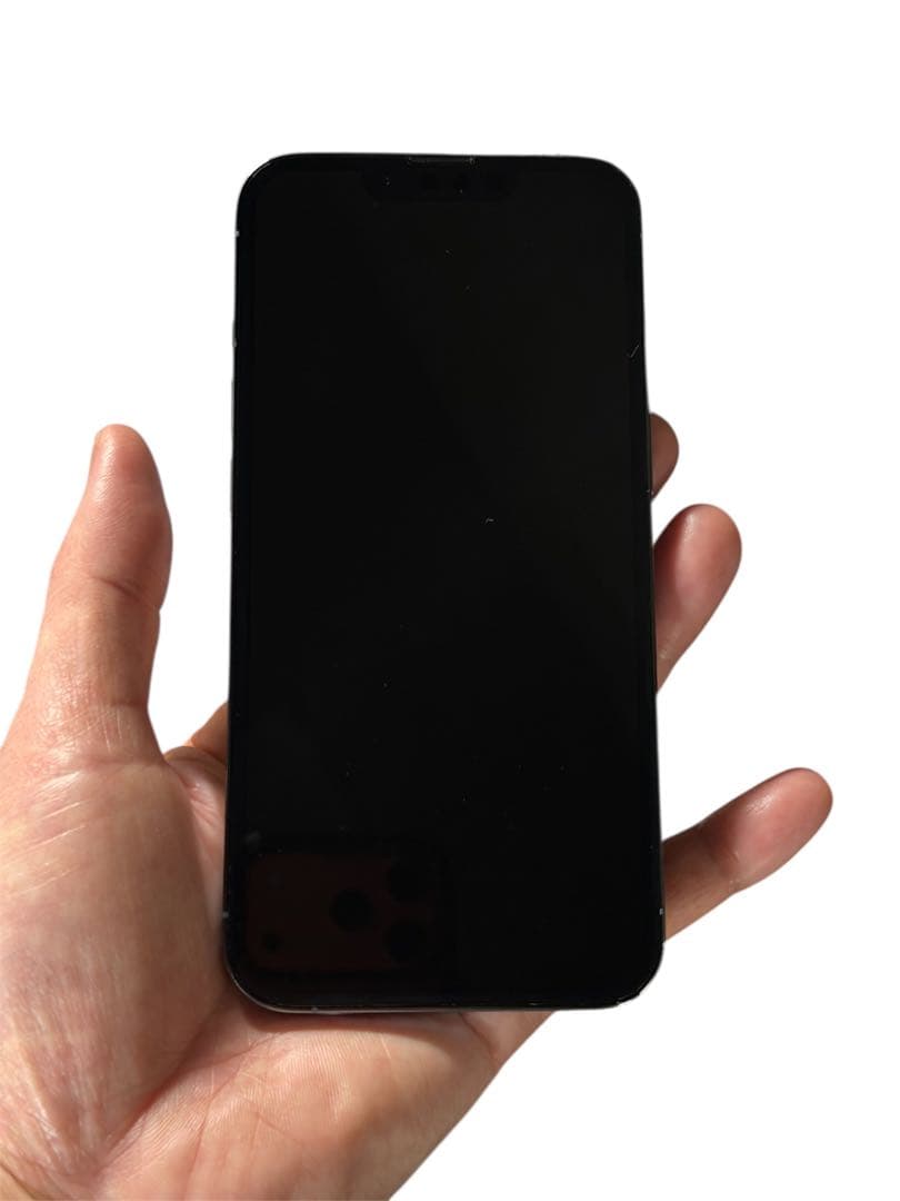 Apple iPhone 13 Pro シエラブルー　256GB