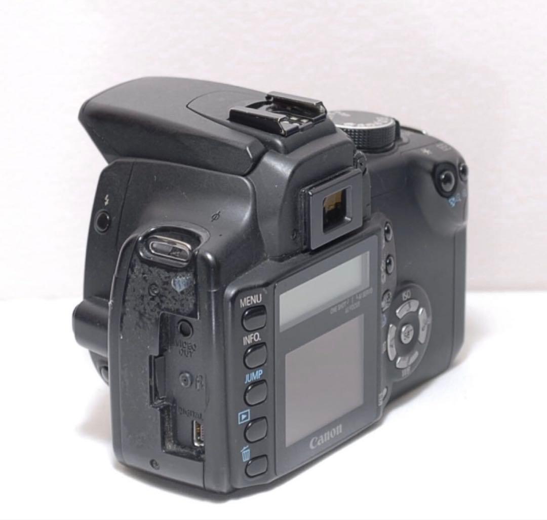 お手軽に一眼レフを始めよう✨ Canon Kiss digital N✨入門機