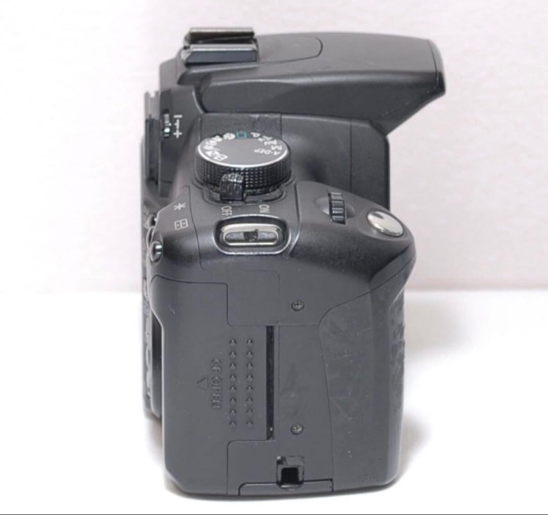 お手軽に一眼レフを始めよう✨ Canon Kiss digital N✨入門機