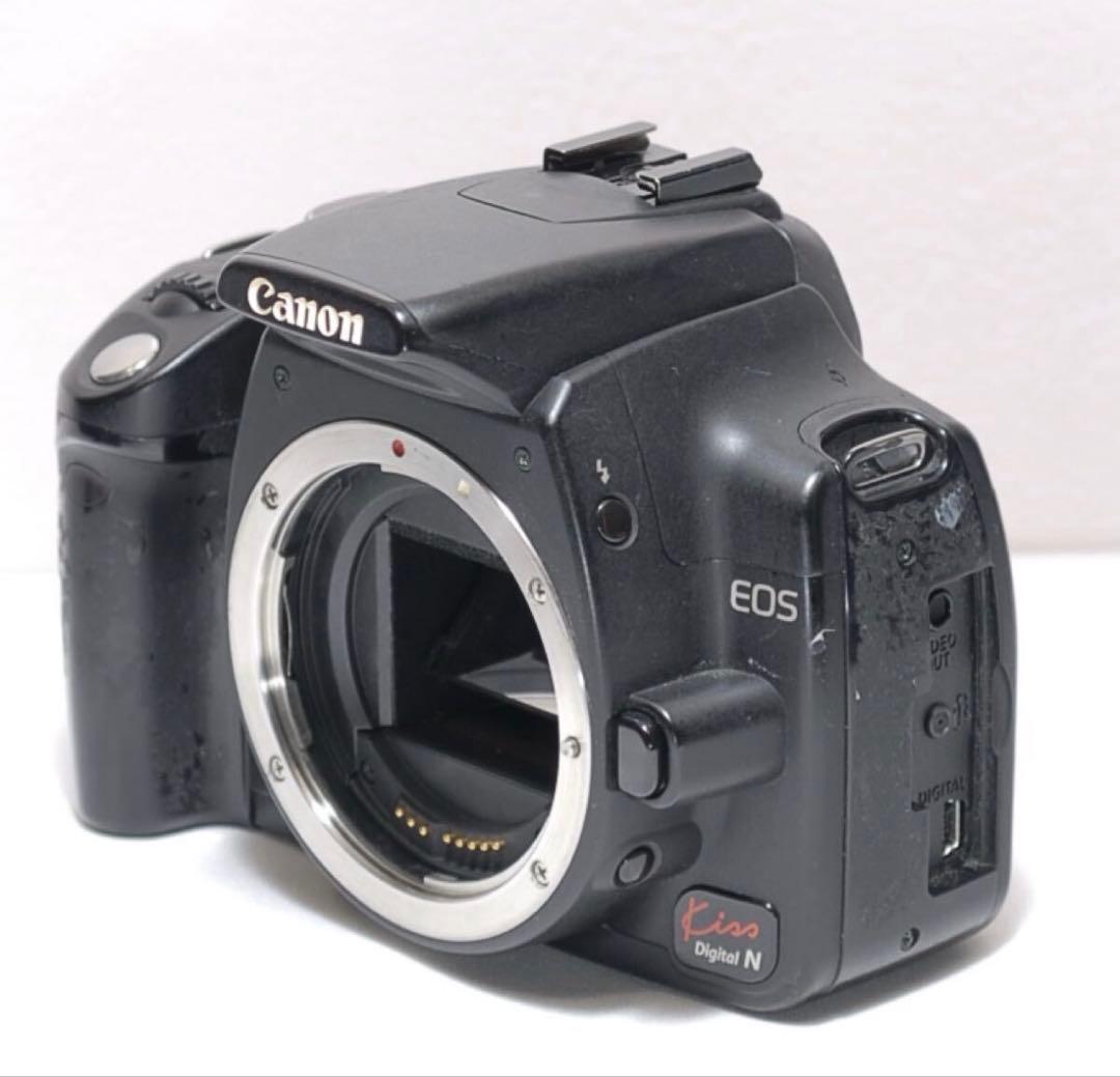 お手軽に一眼レフを始めよう✨ Canon Kiss digital N✨入門機
