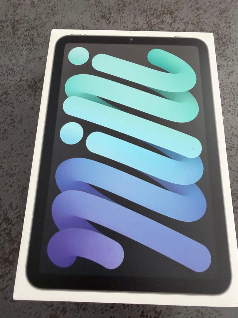 Apple iPad mini (第6世代)256GB スペースグレー ジャンク