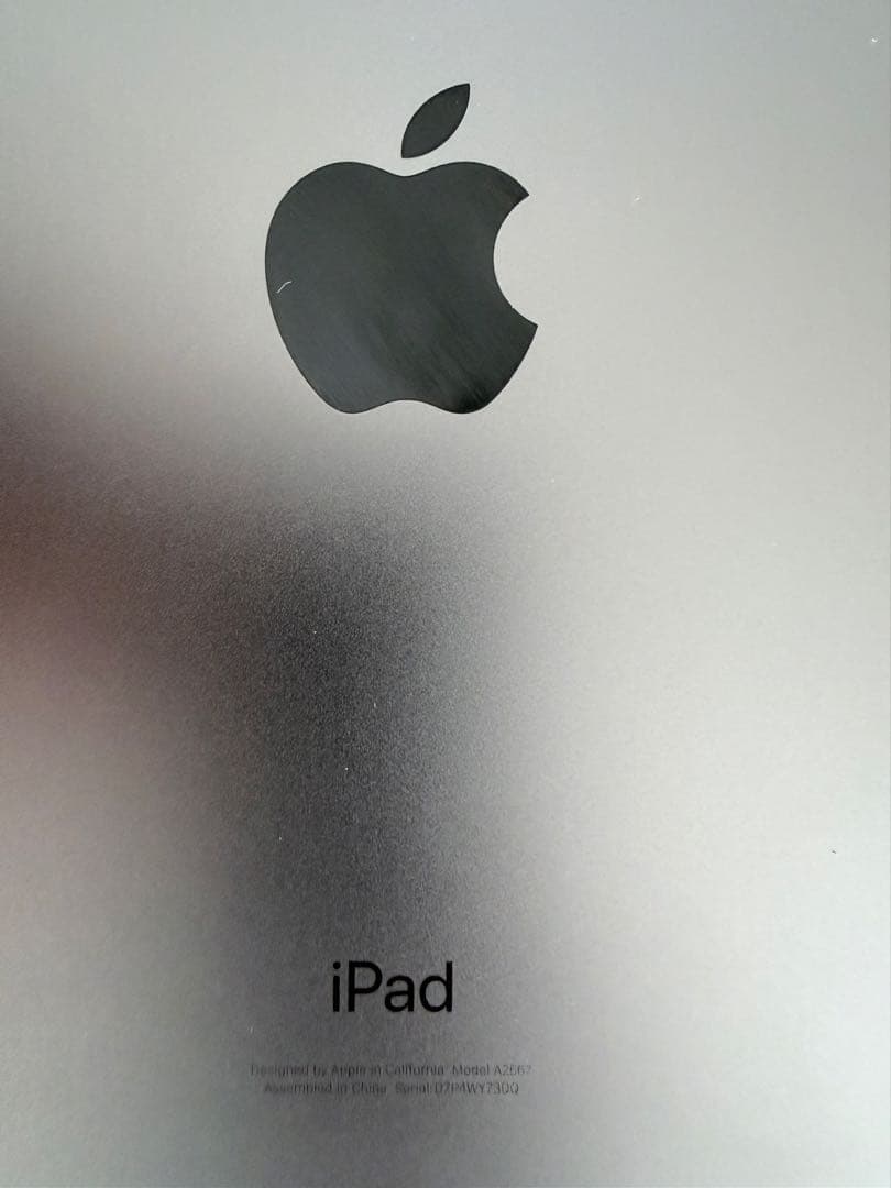 Apple iPad mini (第6世代)256GB スペースグレー ジャンク