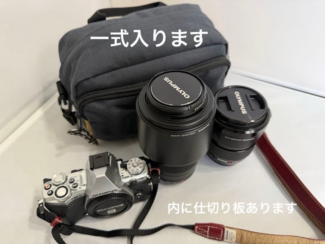 美品フルセットOLYMPUS OM-D E-M5 Mark2 Proレンズ付