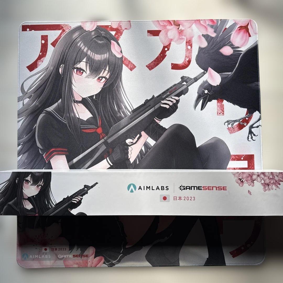 Gamesense×Aimlabs Radar Asuka Ryo アスカリョウ