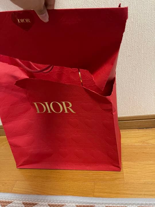 Dior 空腹 巾着