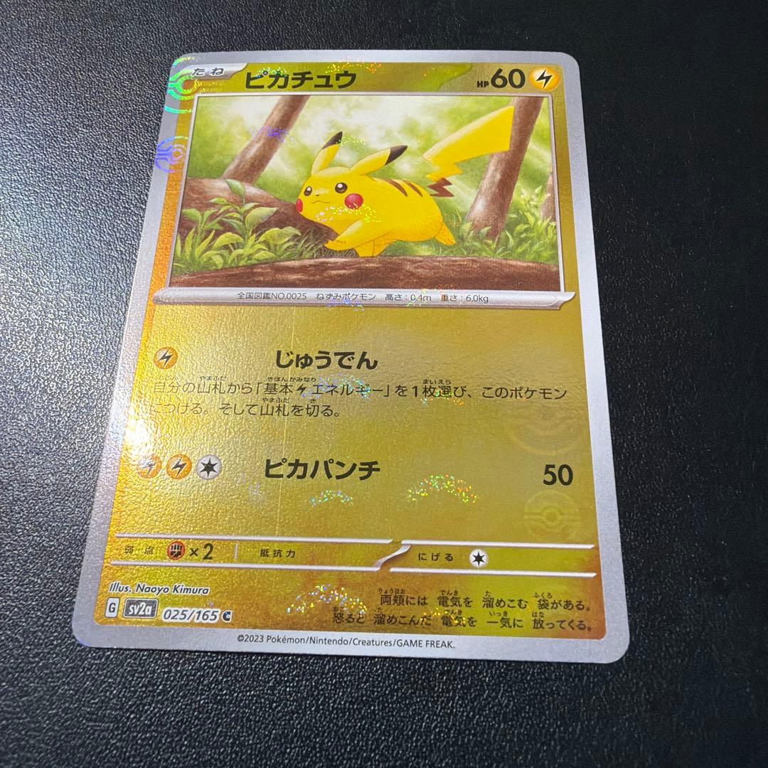 【13999円→6999円 大特価】ピカチュウ　ライチュウ　ピチュー