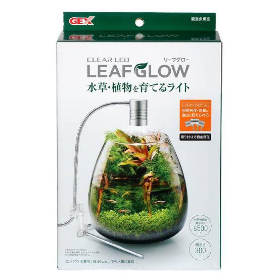 リーフグロー ＬＥＡＦ ＧＬＯＷ GEX グラスアクア ティアー-N水槽セット