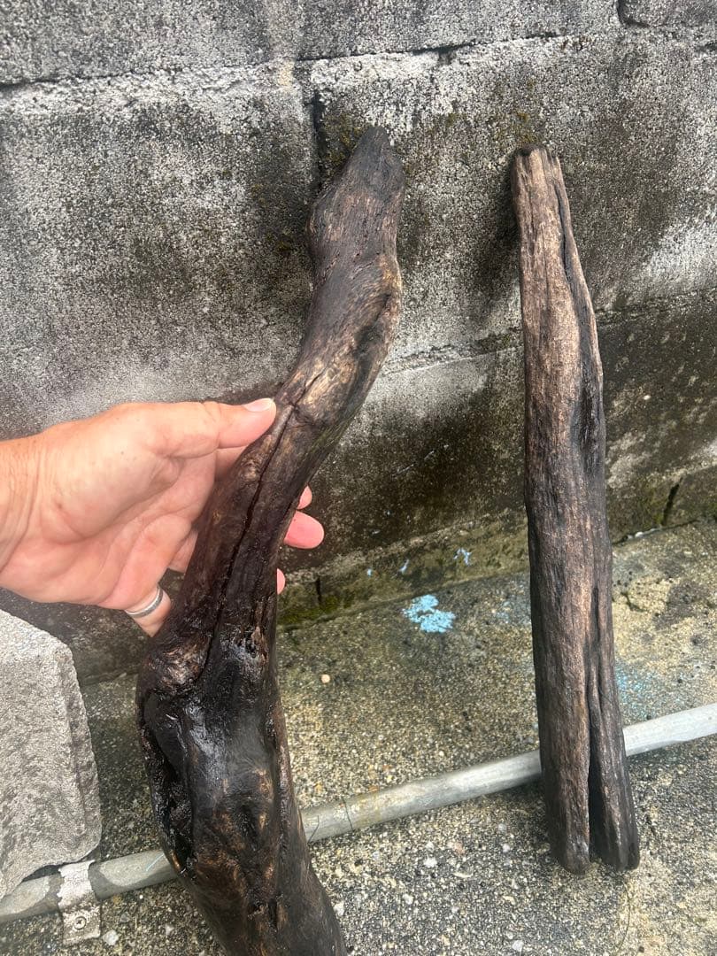 流木 2本セット