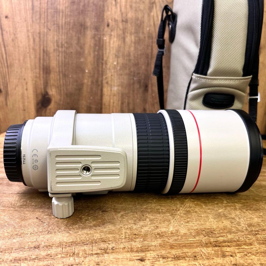 Canon Rens EF 300mm F4 L IS単焦点レンズ