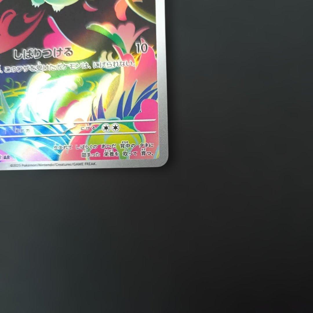 フシギダネ　フシギソウ　メガフシギバナEX