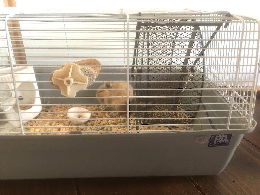 デグー飼育用ケージと付属品セット