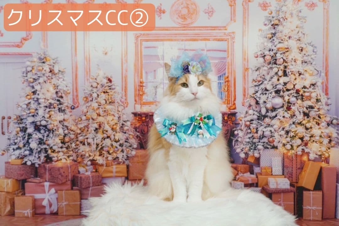 業務用　2026年お正月トリミングチョーカー+背景布×3　ペット、犬撮影用ブース