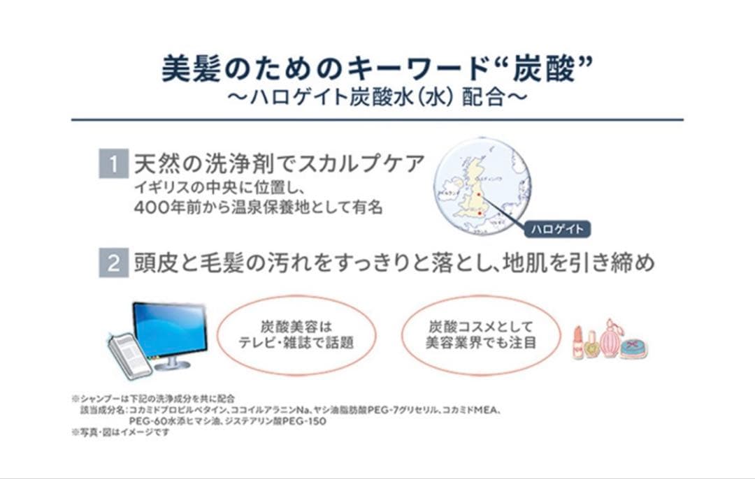 新品未開封★ヴィブリアン エスプリーナシャンプー＆トリートメント セット