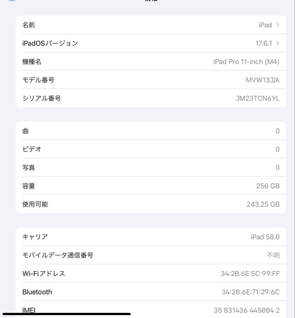 iPad Pro M4チップ 11インチ 256GB スペースブラック
