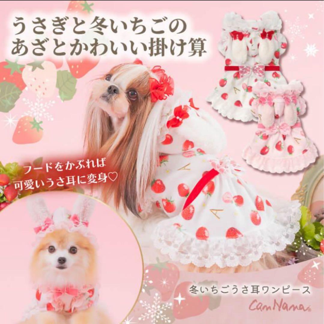 ルーさま専用　きゃんナナ　冬いちごうさ耳ワンピース　新品　Ｓ　ピンク
