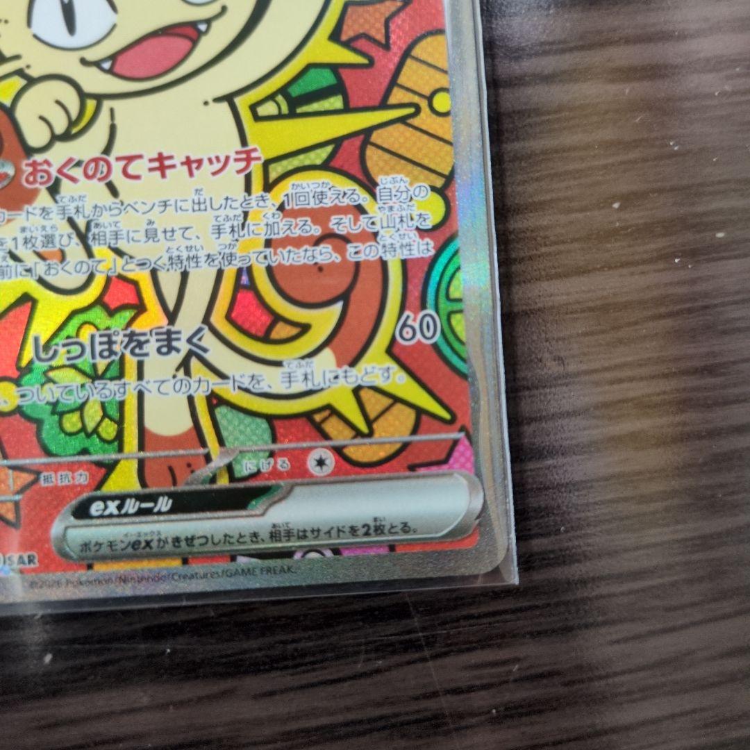 ニャースSAR