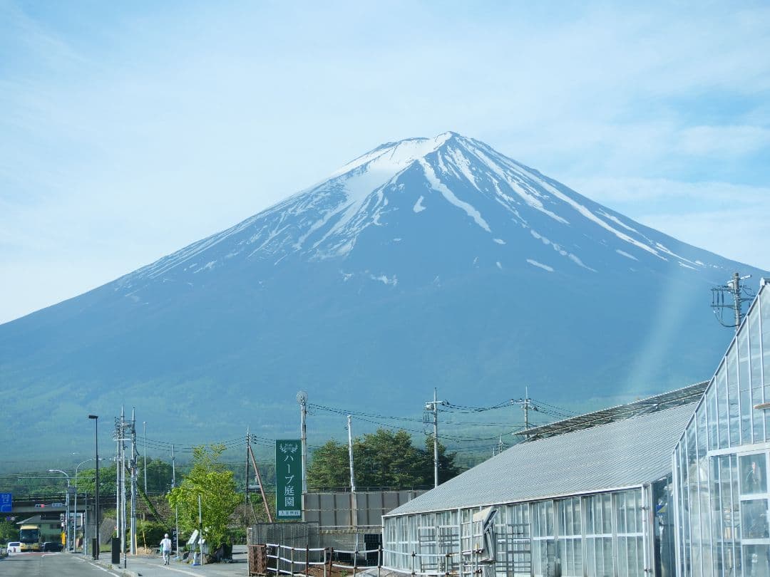 LUMIX 望遠ズームレンズ 45-200mm F4.0-5.6