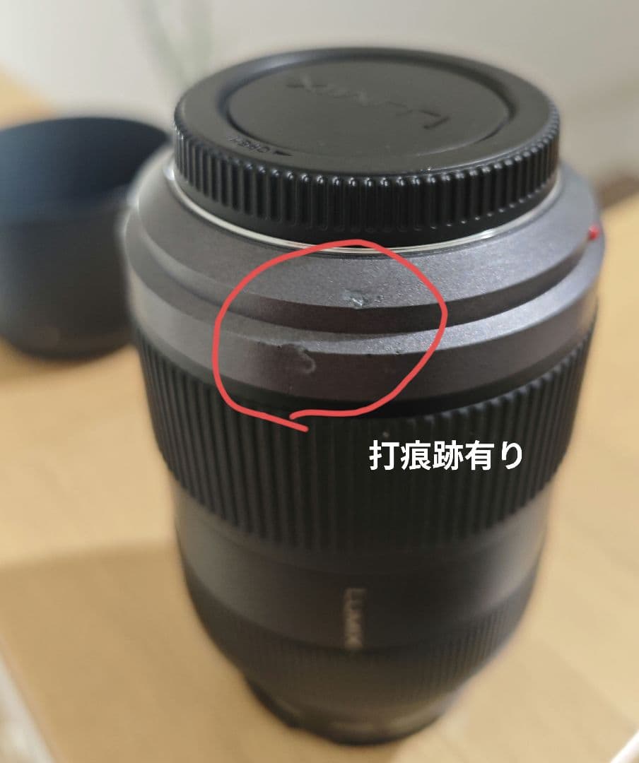 LUMIX 望遠ズームレンズ 45-200mm F4.0-5.6