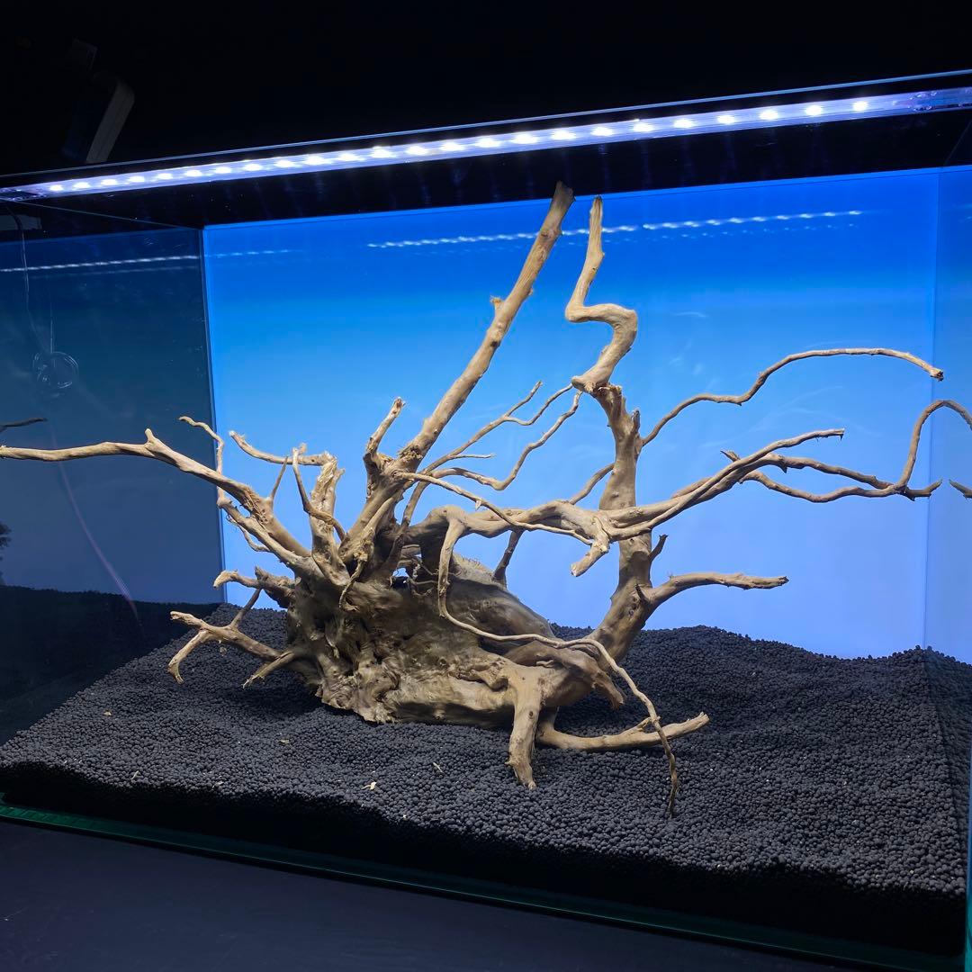 MDW-6506 ブランチウッド　流木　枝流木　アクアリウム