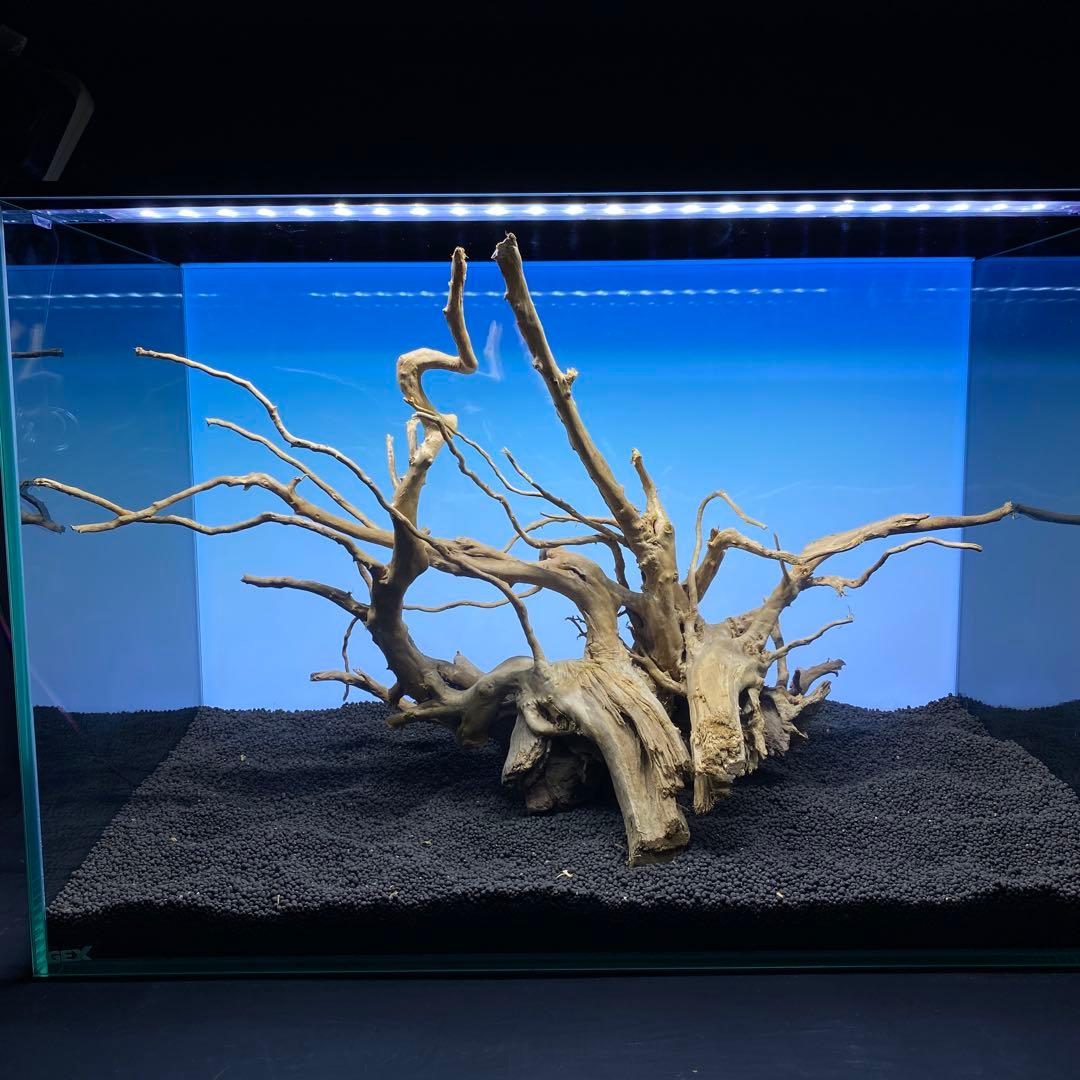 MDW-6506 ブランチウッド　流木　枝流木　アクアリウム