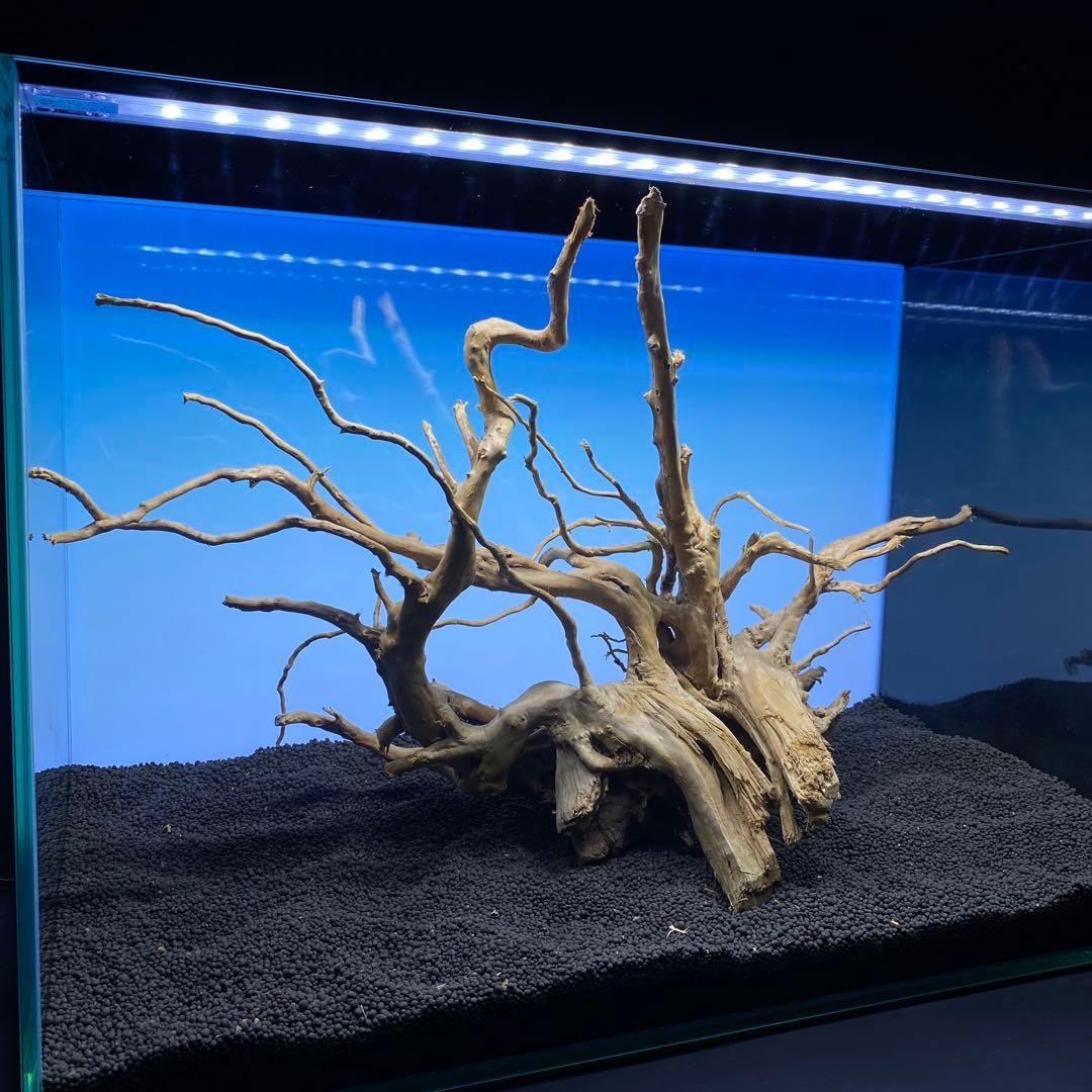 MDW-6506 ブランチウッド　流木　枝流木　アクアリウム