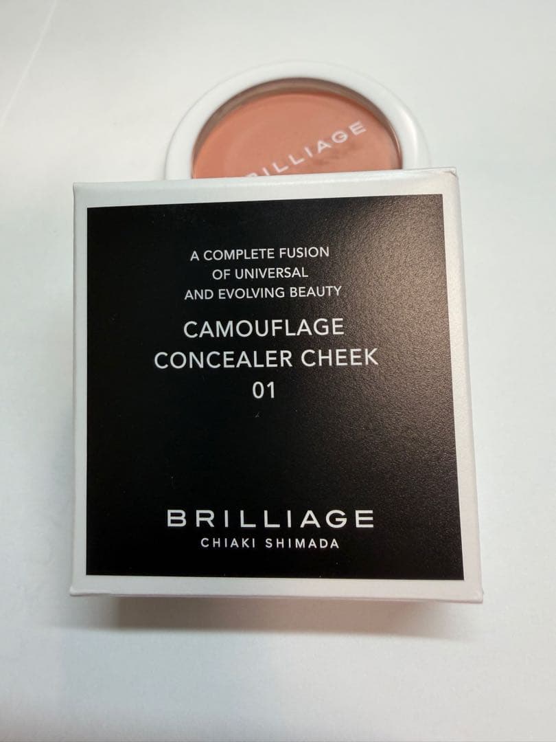 BRILLIAGE ブリリアージュ カモフラージュコンシーラーチーク01